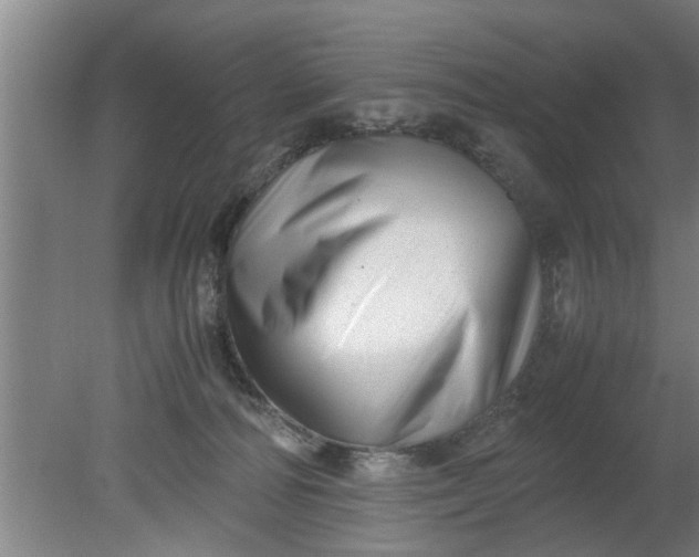 X0000080120226200612221839