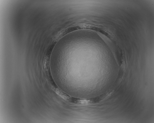 X0000080120233200612221839
