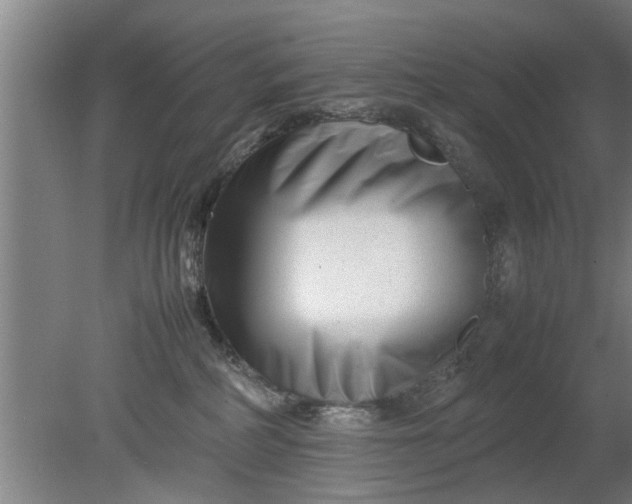 X0000080120234200612221839