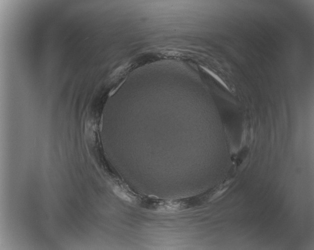 X0000080120235200612221839