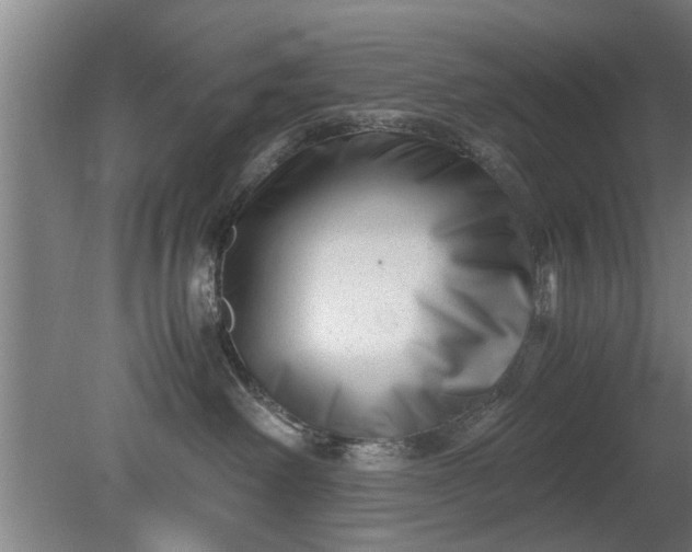 X0000080120238200612221839