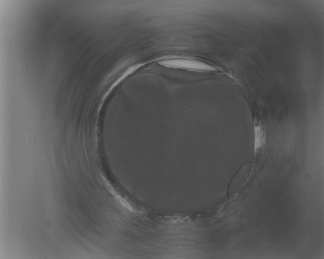 X0000080120243200612221838