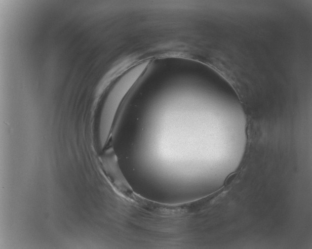 X0000080120245200612221838