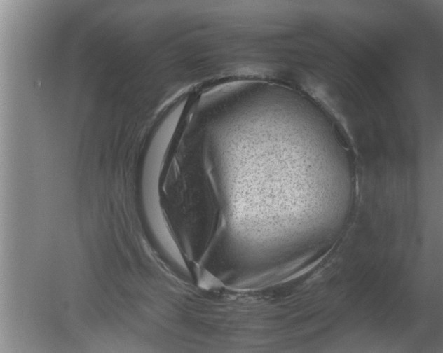 X0000080120249200612221839