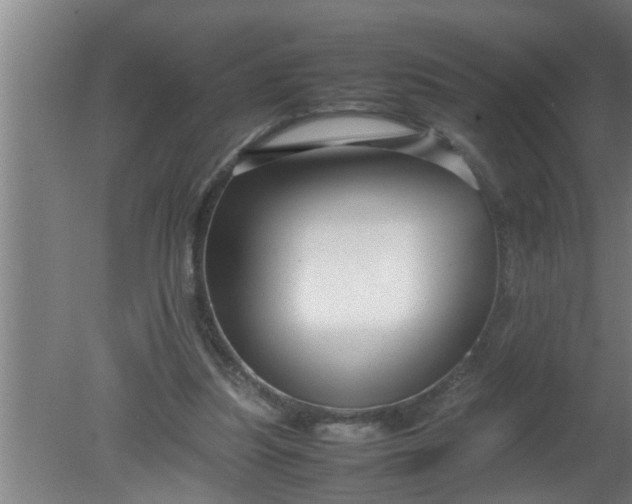 X0000080120251200612221839