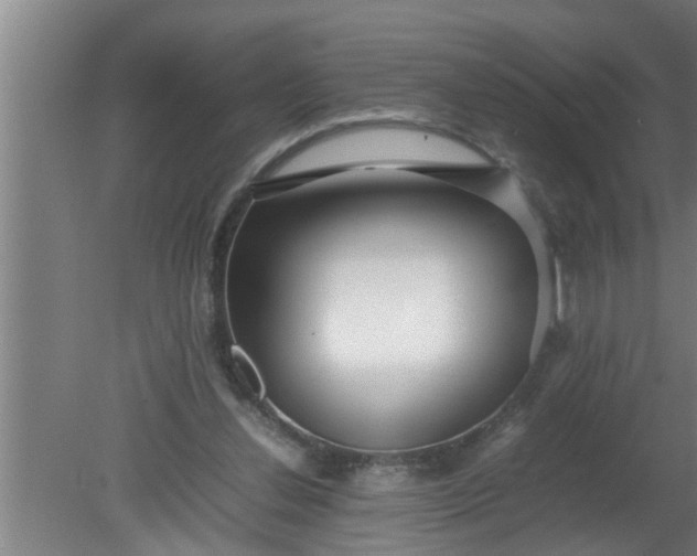 X0000080120252200612221839