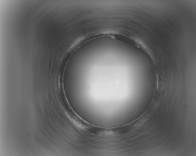 X0000080120253200612221839