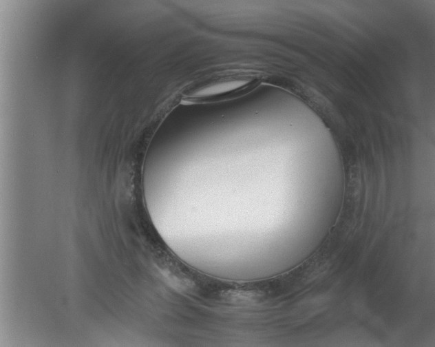 X0000080120255200612221839