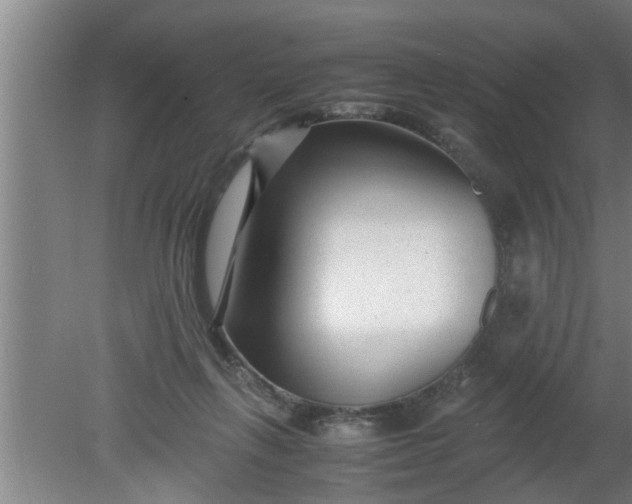 X0000080120263200612221839