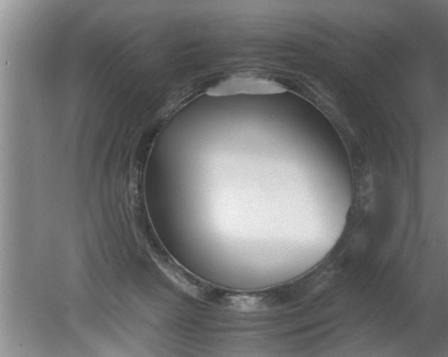 X0000080120265200612221839