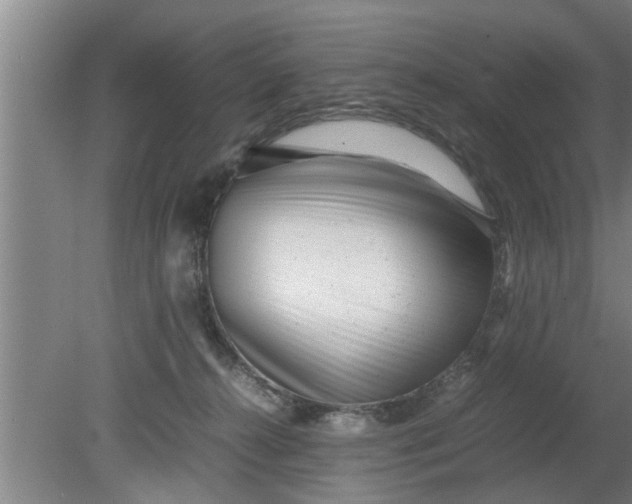 X0000080120272200612221839
