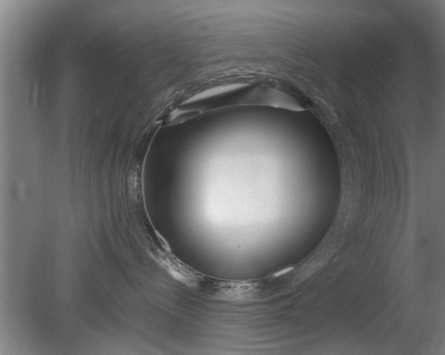 X0000080120288200612221839