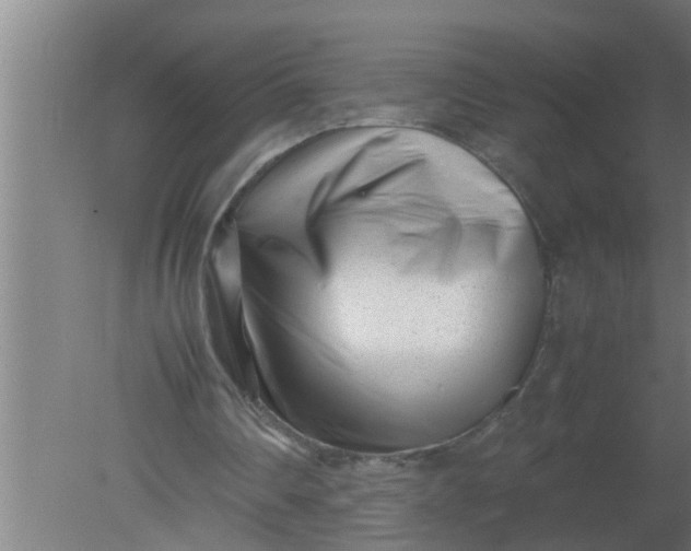 X0000080120290200612221838