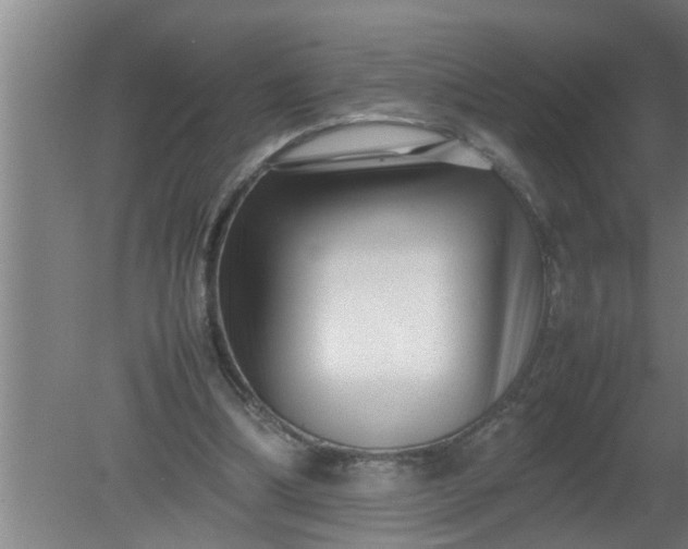 X0000080120298200612221838
