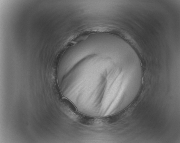 X0000080120305200612221838