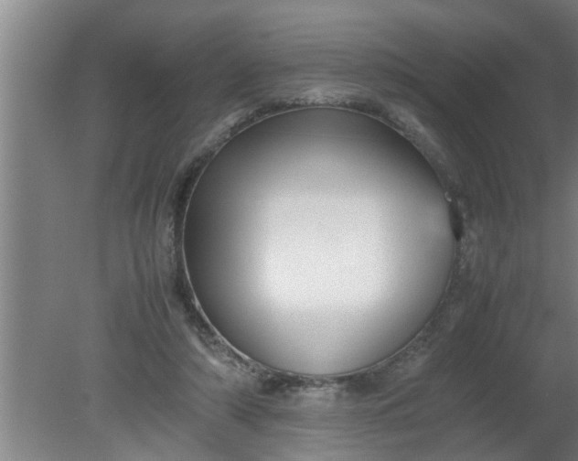 X0000080120306200612221838