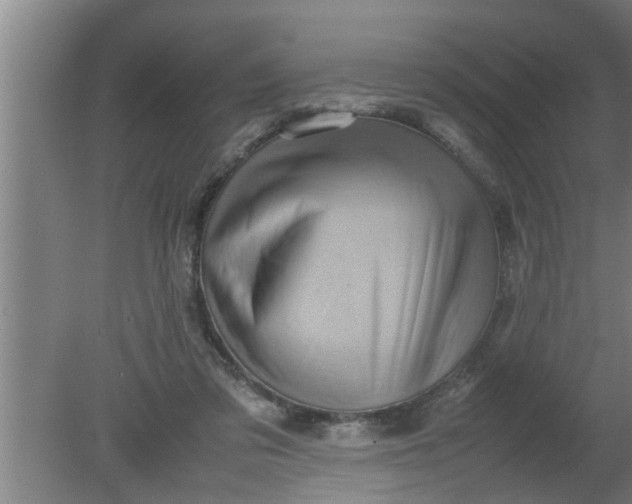 X0000080120309200612221838