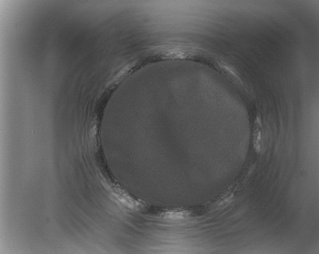 X0000080120314200612221838