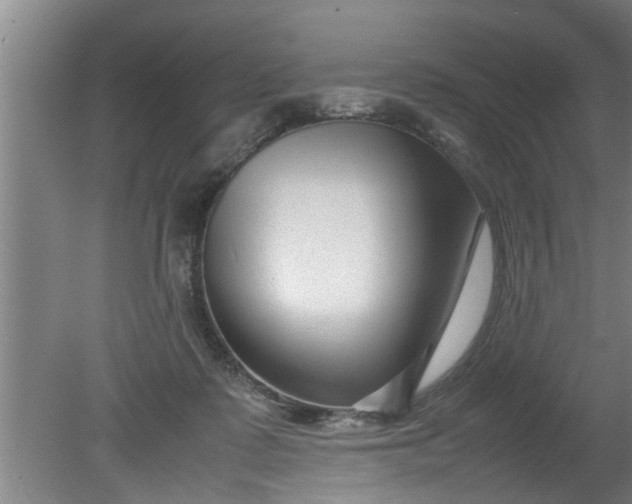 X0000080120315200612221838