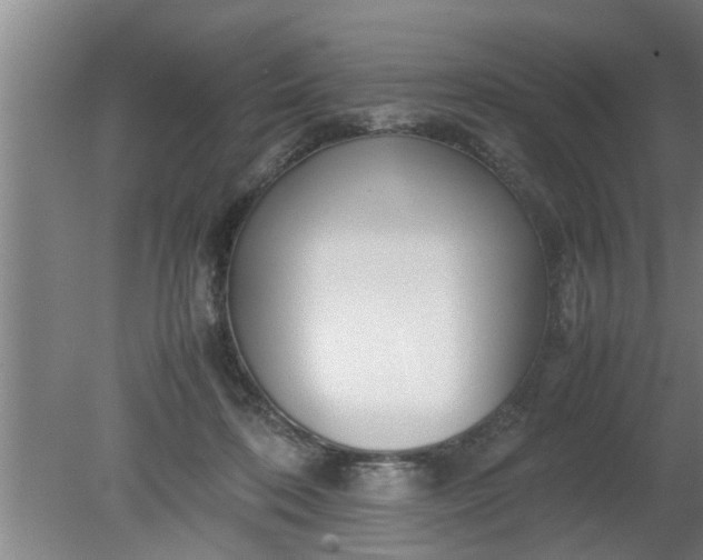 X0000080120316200612221838