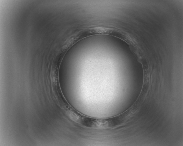 X0000080120317200612221838