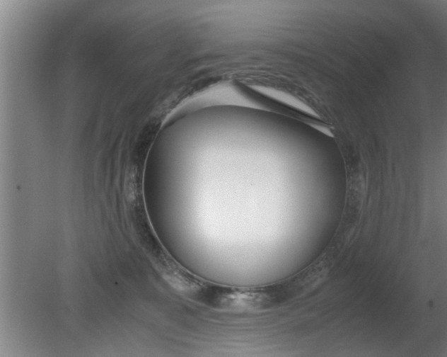 X0000080120323200612221838