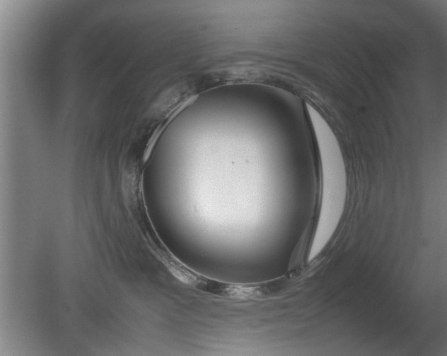 X0000080120333200612221838