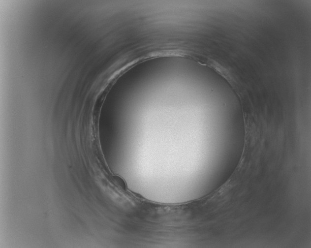 X0000080120338200612221837