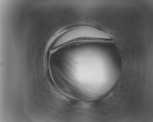 X0000080120343200612221837
