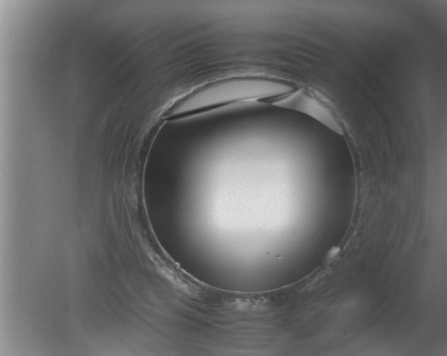 X0000080120345200612221837