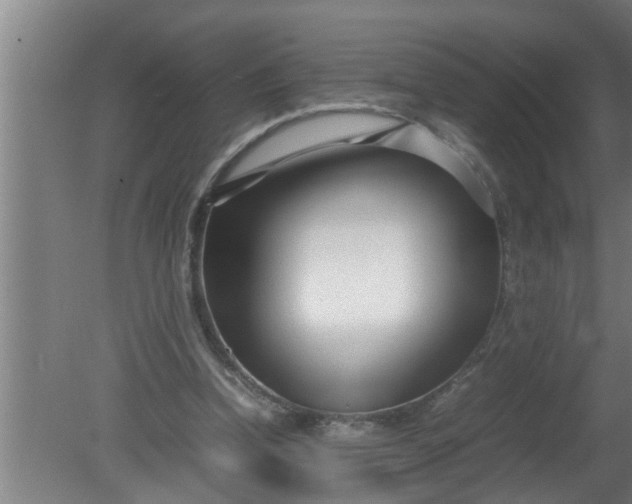 X0000080120346200612221837