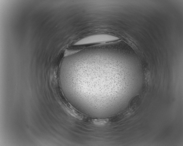 X0000080120373200612221837