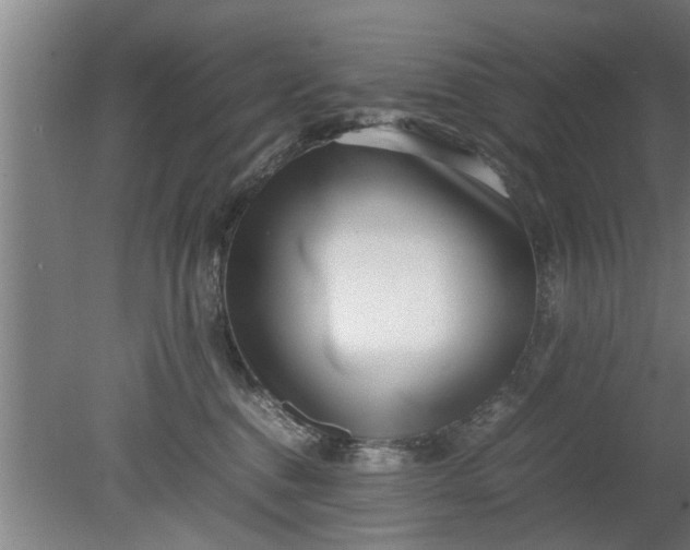 X0000080120376200612221837
