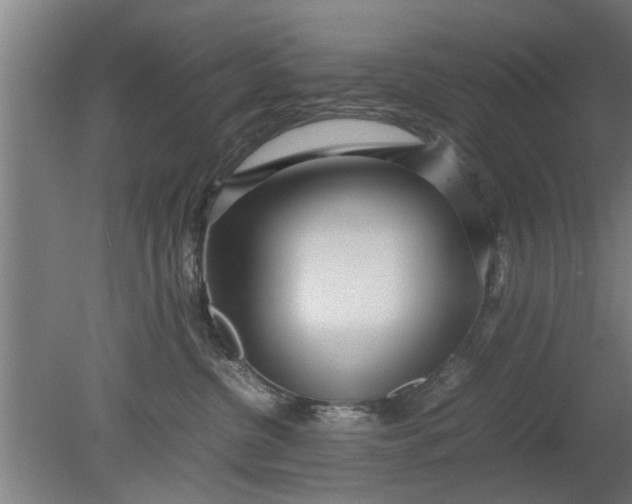 X0000080120380200612221838