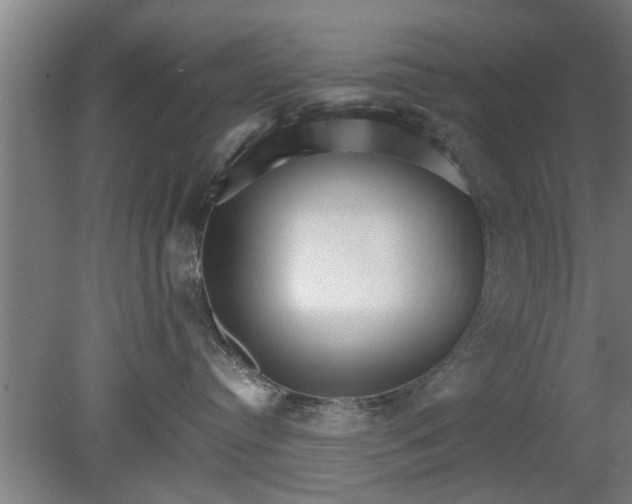 X0000080120384200612221838