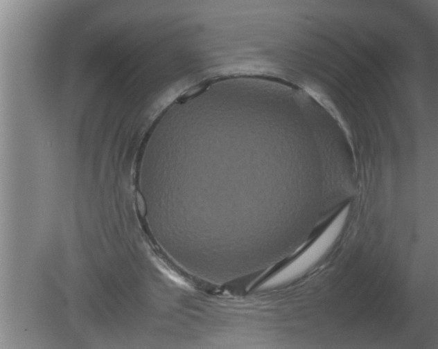 X0000080120389200612221837