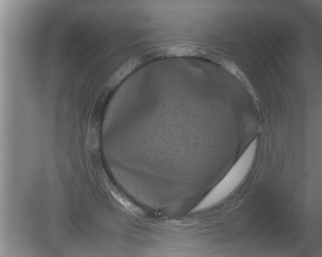 X0000080120393200612221837