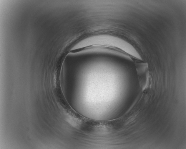 X0000080120404200612221836
