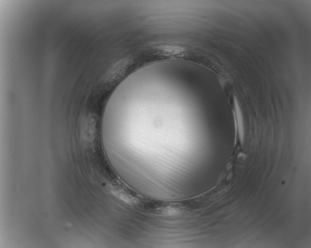 X0000080120412200612221836