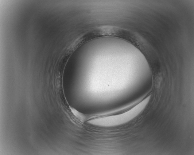 X0000080120413200612221836