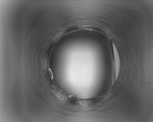 X0000080120417200612221836