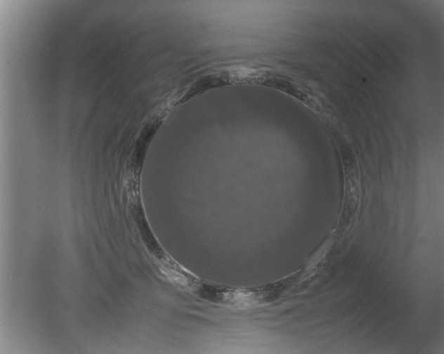 X0000080120419200612221836