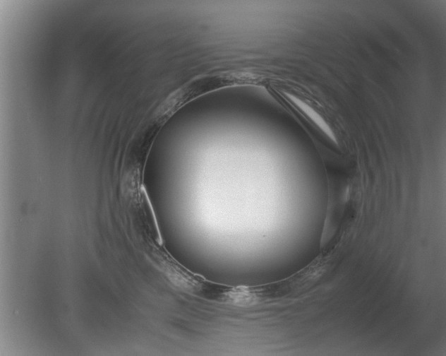 X0000080120425200612221836
