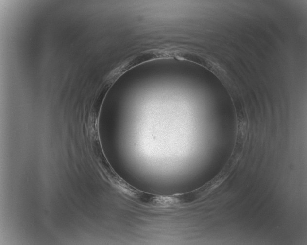 X0000080120429200612221836