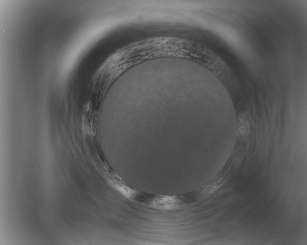 X0000080120431200612221836