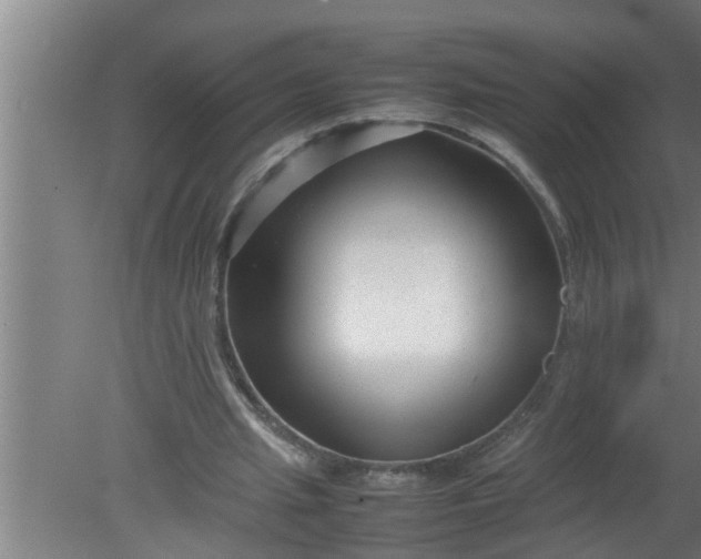 X0000080120437200612221835