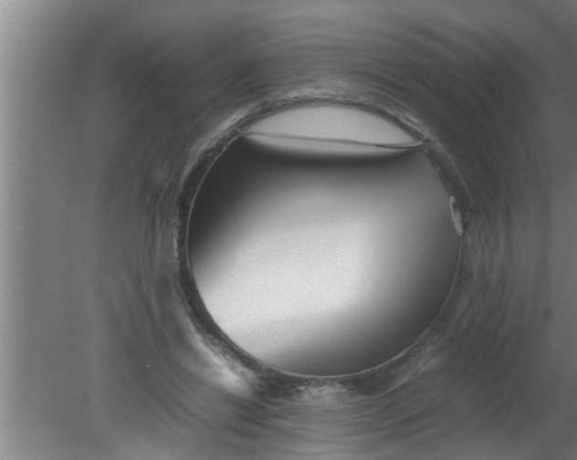 X0000080120446200612221835