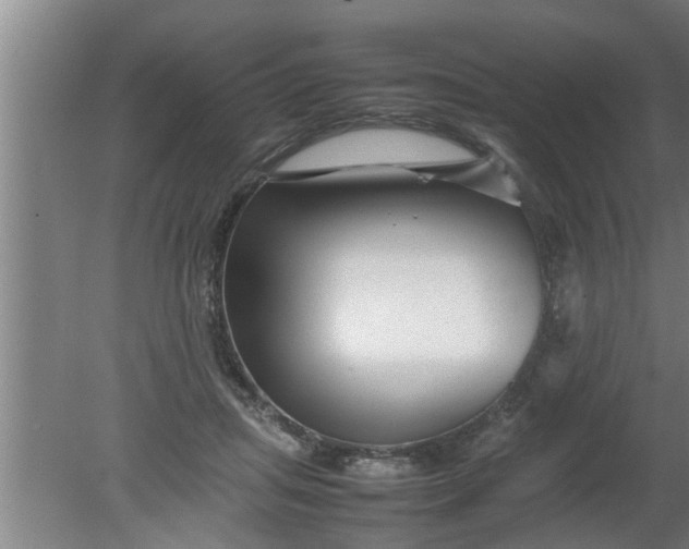 X0000080120455200612221836