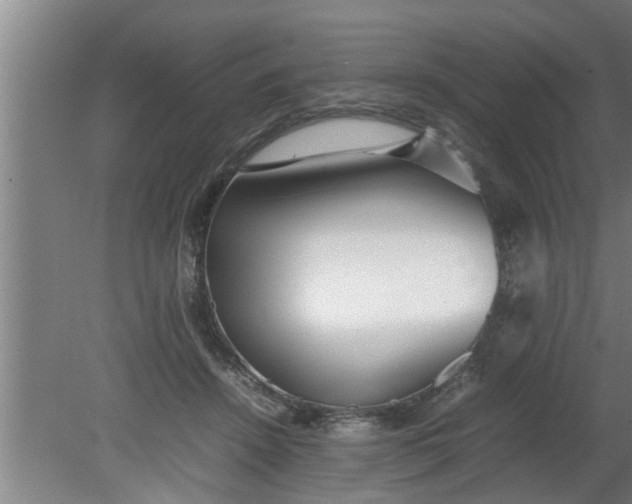 X0000080120456200612221836