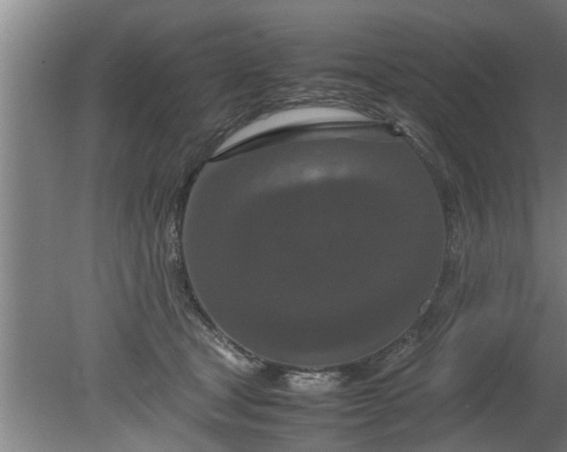 X0000080120465200612221836
